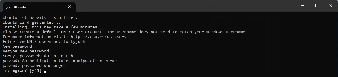 Windows-Terminal, bei dem das Passwort bei der Wiederholung falsch eingegeben wurde. Ein Dialog "Try again? [y/N]" fragt nach einem erneuten Versuch.
